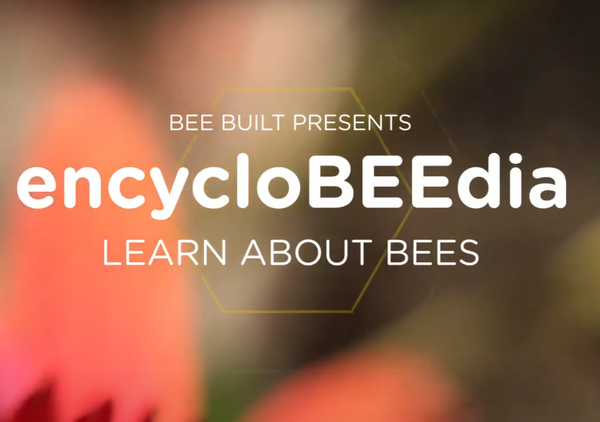 EncycloBEEdia: Are swarms cause for concern?