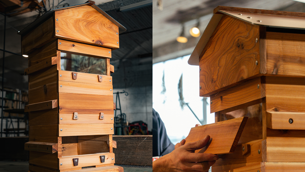 Why is it called a Warré Hive?