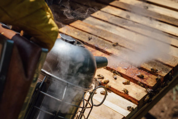 Checking Hives with the Rauchboy Smoker