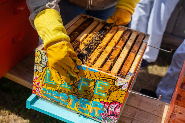Read "Keeping a High Quality Inspection Log" Now. Image: A beekeeper lifts a colorfully painted hive reading "Make Life Sweeter"