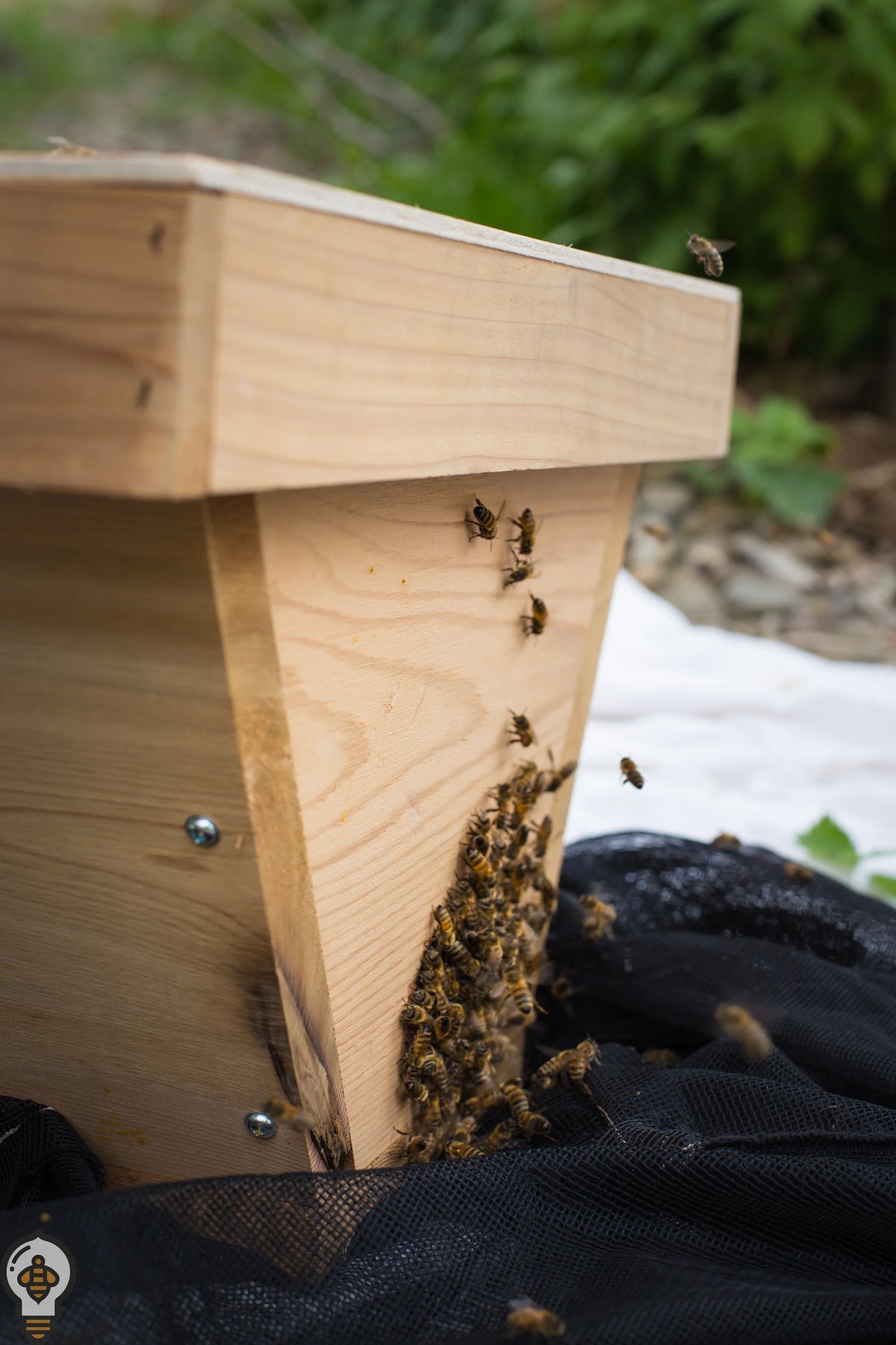 Wooden beehive with bees on a natural background