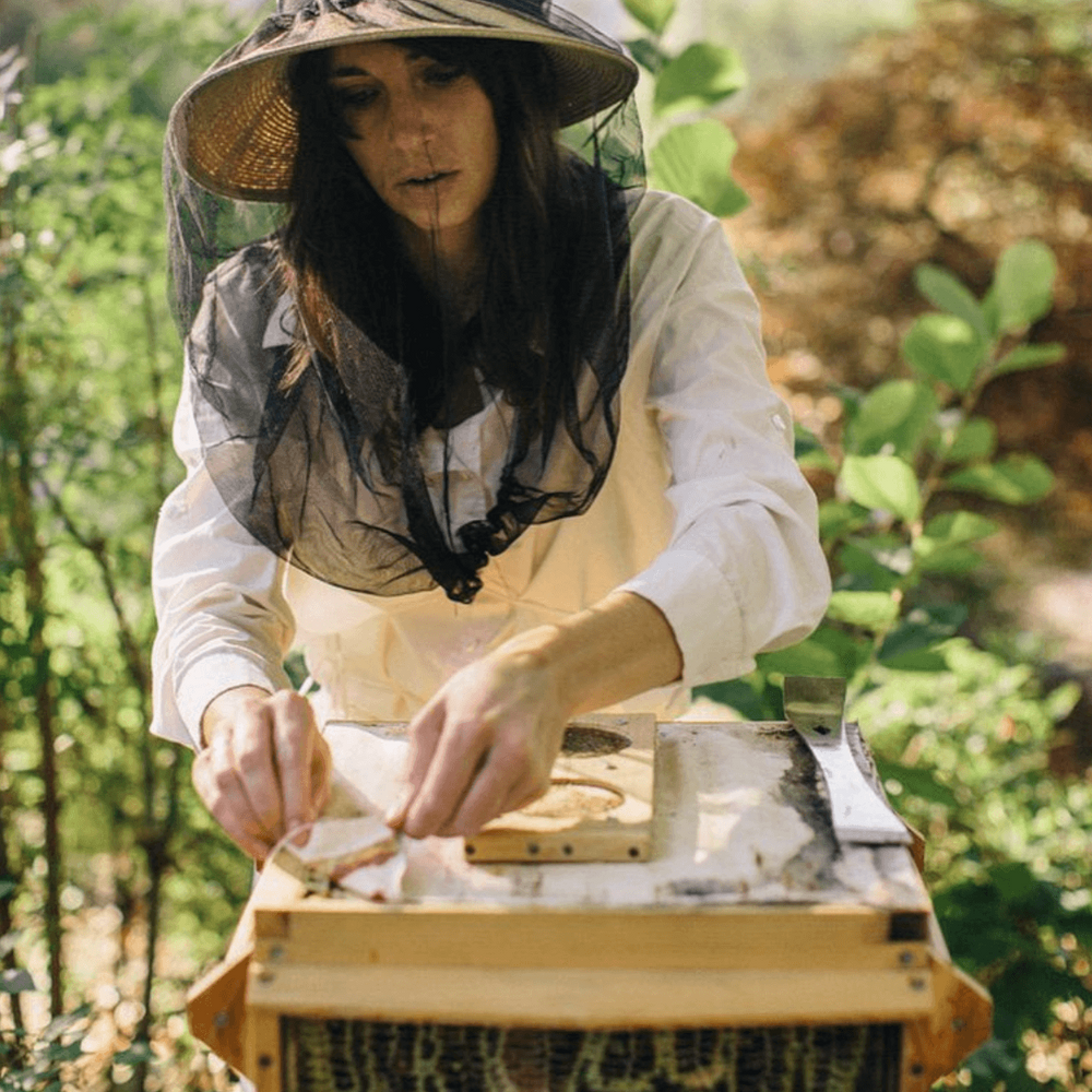 Ariella Daly of Honey Bee Wild tending to a Warre beehive in a hat and veil