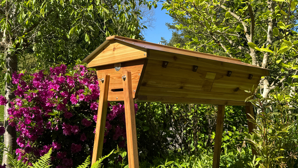 Why is it  called a  Top Bar Hive?