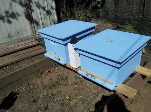 Quilt Box Effect on Hive