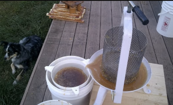 Honey Harvest and Processing from Top Bar Hives