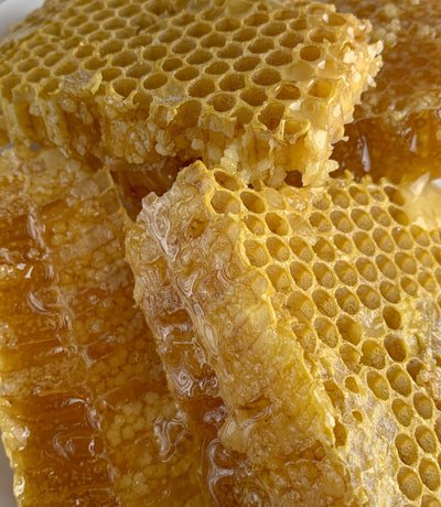 How to Harvest Honey
