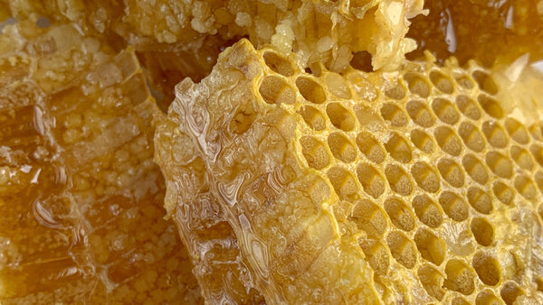 How to Harvest Honey