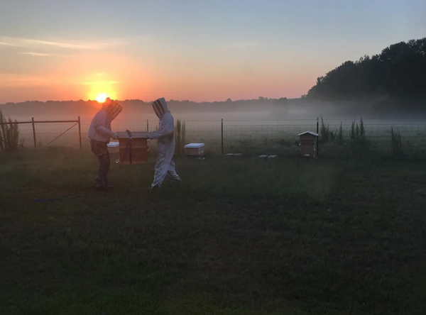Beekeeper Profile: Aaron Jennings