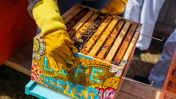 Read "Keeping a High Quality Inspection Log" Now. Image: A beekeeper lifts a colorfully painted hive reading "Make Life Sweeter"
