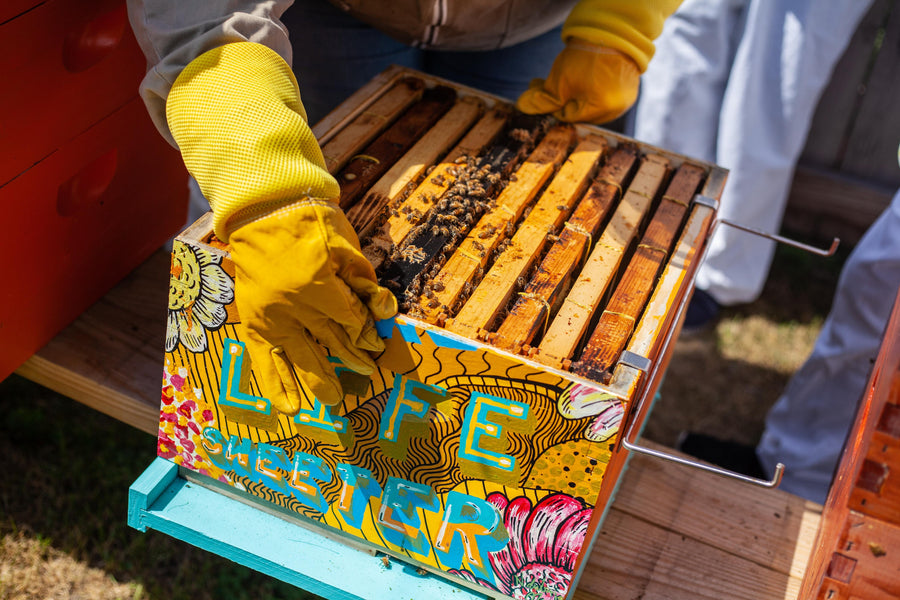Read "Keeping a High Quality Inspection Log" Now. Image: A beekeeper lifts a colorfully painted hive reading "Make Life Sweeter"