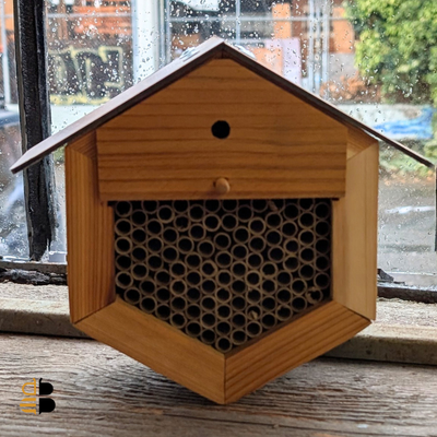 Premium Cedar Mason Bee House