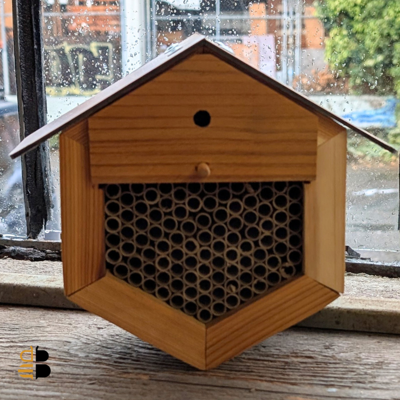 Premium Cedar Mason Bee House