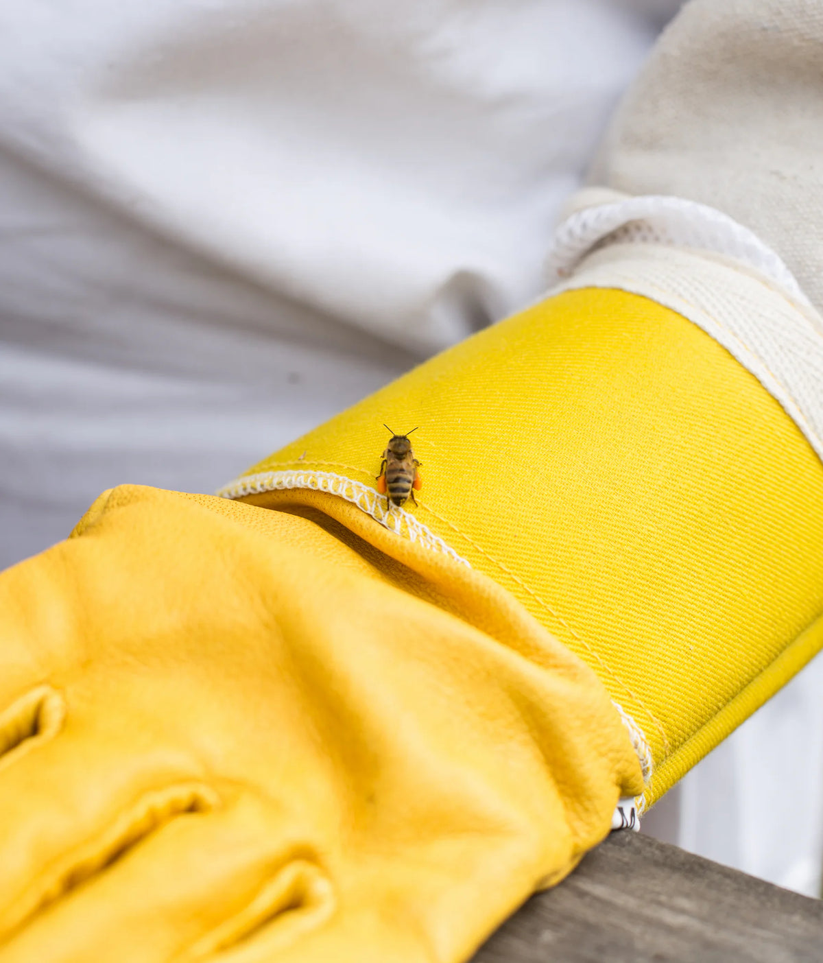 Yellow beekeeper glove with a bee on it, worn by a person.