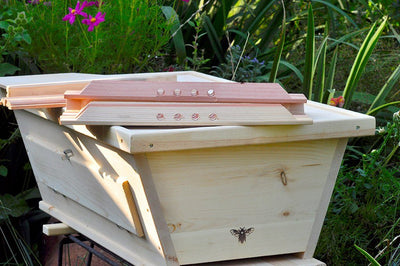 Golden Mean Hive With Flat Roof