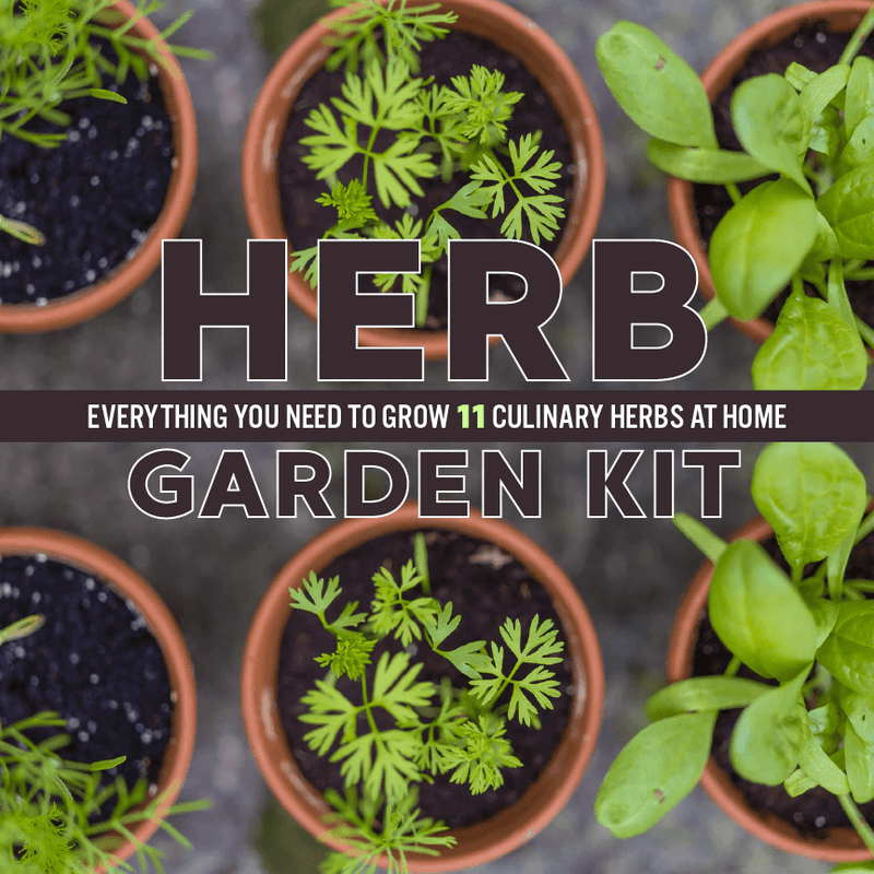 herb garden kit