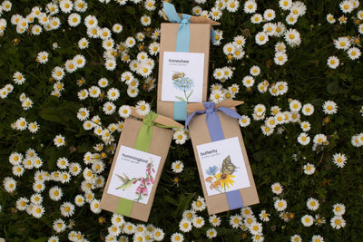 image of scatter garden collection