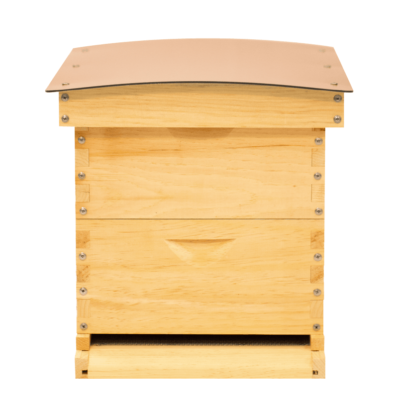 Side view of Medium Standard Langstroth for beekeeping with composite roof