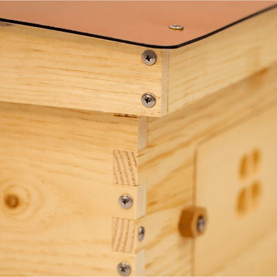 Close view of Deep Standard Langstroth for beekeeping 