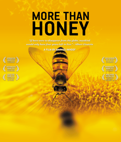 More Than Honey book