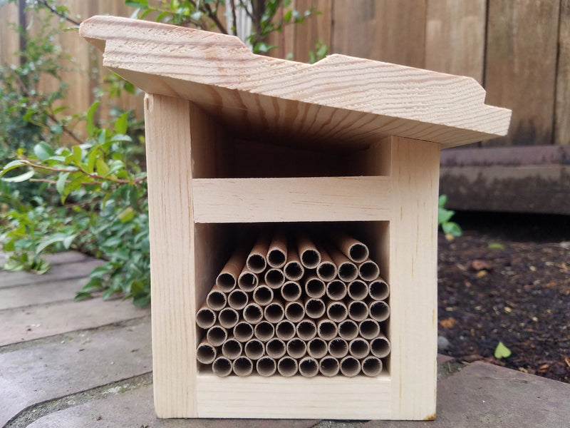 outdoor view of slanted roof mason bee house