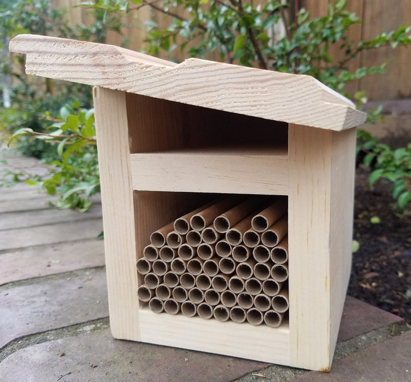 outdoor view of slanted roof mason bee house