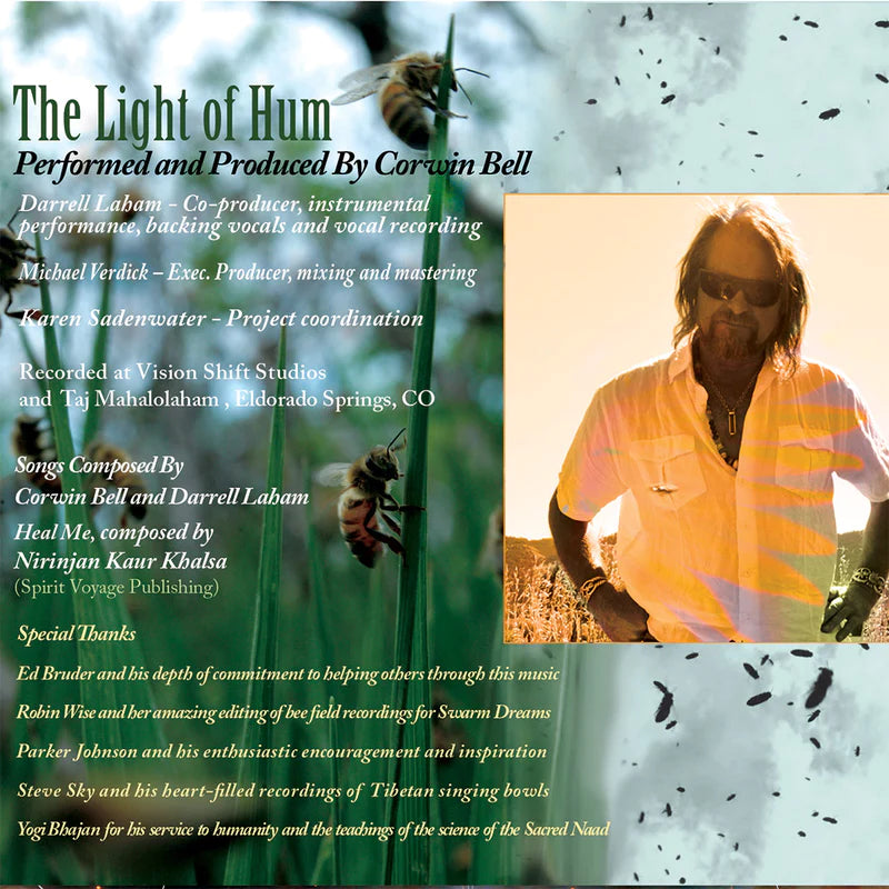 The Light of Hum - Album (CD) – BeeBuilt