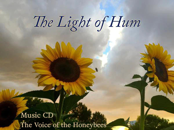 The Light of Hum - Album (CD)